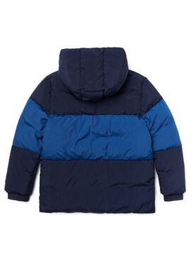 Veste Lacoste Padded Bicolor Bleu pour Garçon