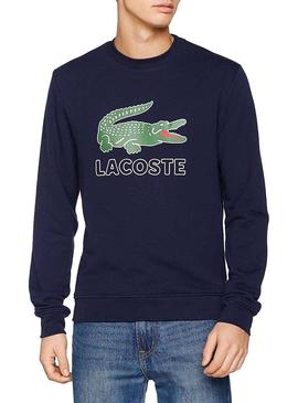 Sweat Lacoste SH6382 Marin Homme