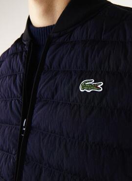 Gilet Lacoste Rembourré Bleu Marine pour Homme