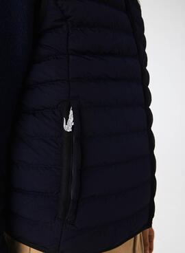Gilet Lacoste Rembourré Bleu Marine pour Homme