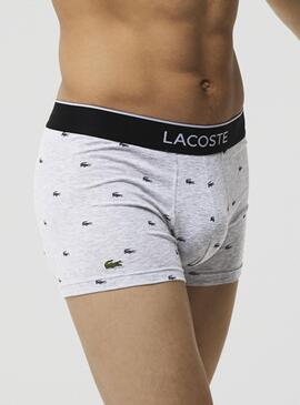 Pack 3 Slip Casual Signature pour Homme