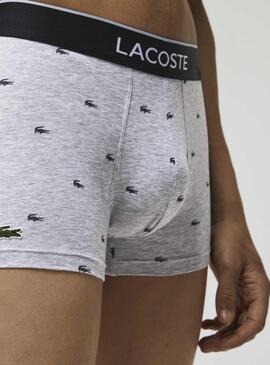 Pack 3 Slip Casual Signature pour Homme