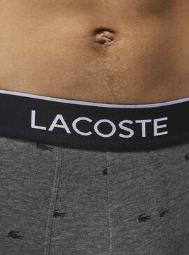 Pack 3 Slip Casual Signature pour Homme