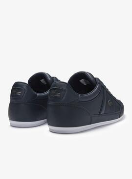 Baskets Lacoste Chaymon Bleu Marine pour Homme