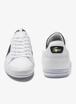 Baskets Lacoste Chaymon Logo Blanc pour Homme