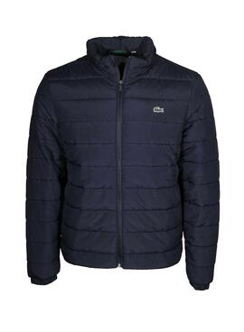 Veste Lacoste Matelassé Bleu Marine Pour Homme