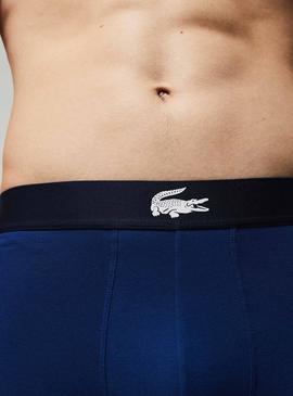 Pack 3 Slip Lacoste Sport Bleu Marine Homme