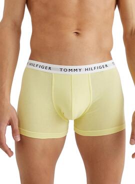Pack 3 Slip Tommy Hilfiger Multi Homme