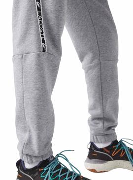 Pantalon de Survêtement Lacoste Taperouge Fit Gris