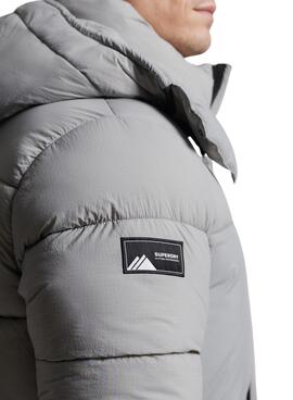 Veste Superdry Ligne de touche Padded Gris Homme
