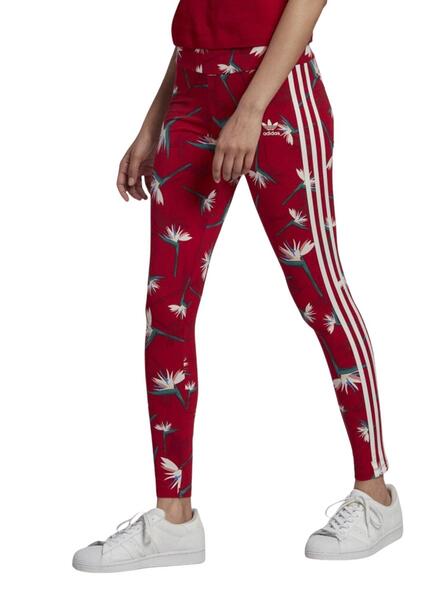 Leggings Adidas Thebe Magugu pour Femme Rouge