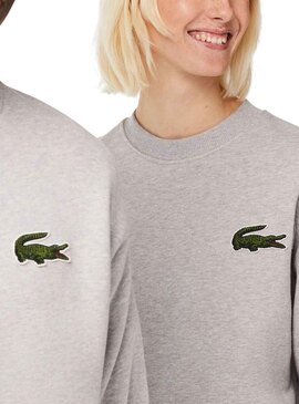 Sweat Lacoste Loose Fit Gris pour Homme