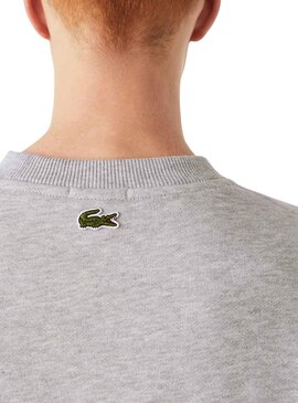 Sweat Lacoste Loose Fit Gris pour Homme