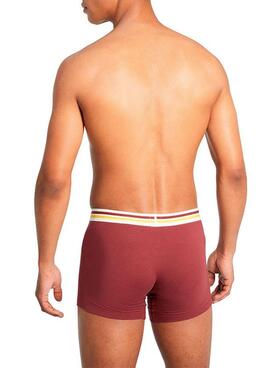 Pack 3 Slip Levis 3 Couleurs pour Homme