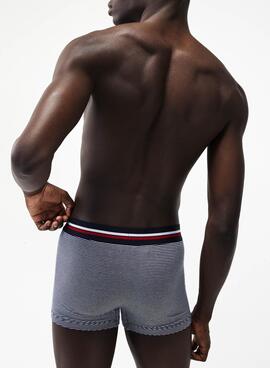 Pack 3 Slip Lacoste Boxer Iconic Bleu Marine