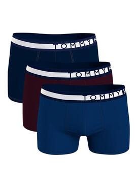 Pack 3 Slip Tommy Hilfiger OUF Homme