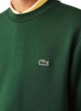 Sweat Lacoste Intemporel Vert pour Homme