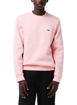 Sweat Lacoste Basic Rose pour Homme