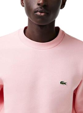 Sweat Lacoste Basic Rose pour Homme