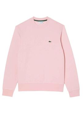 Sweat Lacoste Basic Rose pour Homme