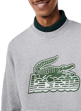 Sweat Lacoste Dégradé Gris pour Homme