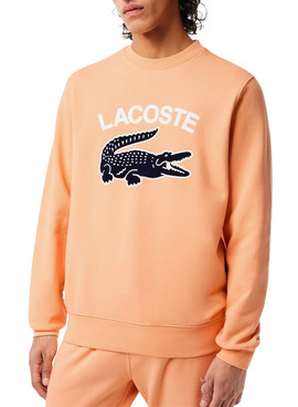 Sweat Lacoste Crocodile Orange pour Homme
