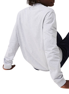 Sweat Lacoste Lounge Gris Croco pour Homme