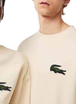 Sweat Lacoste Classic Fit Blanc Hueso Homme