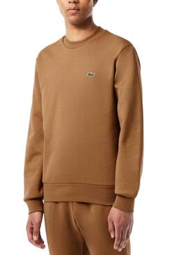 Sweat Lacoste Atemporal  Brun pour Homme