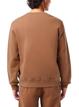 Sweat Lacoste Classic Fit Brun pour Homme