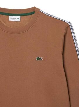 Sweat Lacoste Classic Fit Brun pour Homme