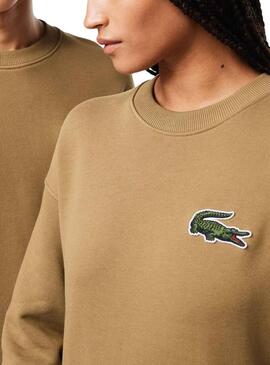 Sweat Lacoste Classic Fit Brun Homme Femme