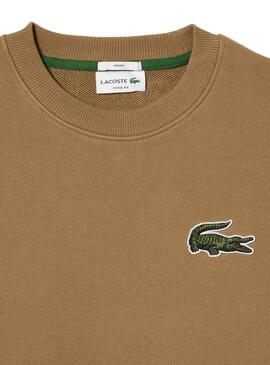 Sweat Lacoste Classic Fit Brun Homme Femme