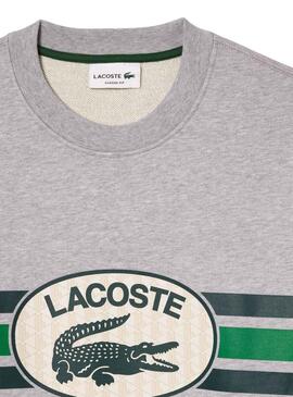 Sweat Lacoste Loose Fit Gris pour Homme