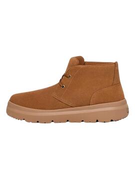 Bottines UGG Burleigh Chukka Châtaigne pour Homme