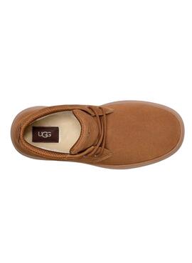 Bottines UGG Burleigh Chukka Châtaigne pour Homme