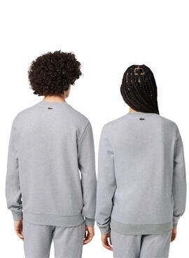 Sweat Lacoste Jogger Gris pour Homme Femme