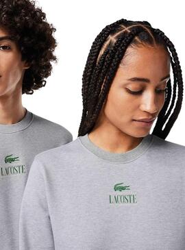 Sweat Lacoste Jogger Gris pour Homme Femme