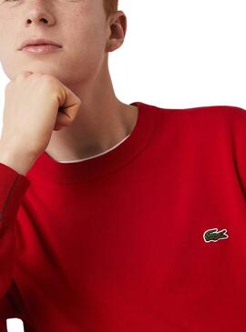Pull Lacoste Tricot Rouge pour Homme