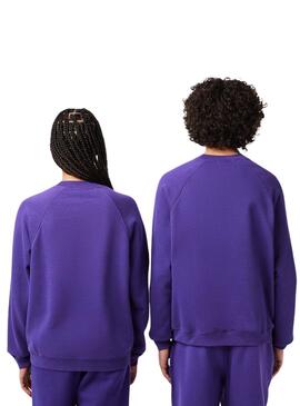 Sweat Lacoste Club Morado pour Homme Femme