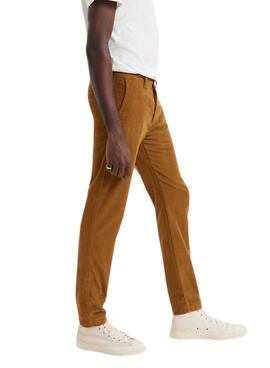 Pantalon Chino Levis Velours côtelé Camel pour Homme