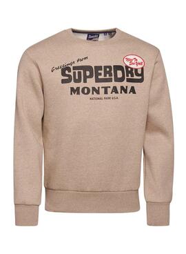 Sweat Superdry Travel Carte postale Brun Homme