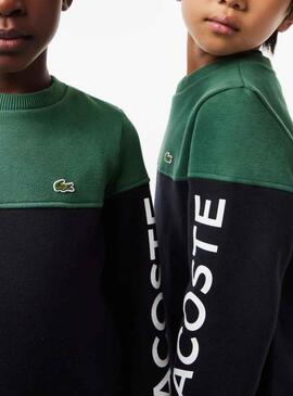 Sweat Lacoste Couleur Block Vert pour Garçon Fille
