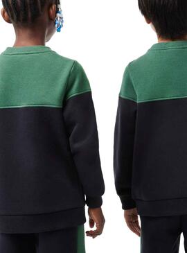 Sweat Lacoste Couleur Block Vert pour Garçon Fille