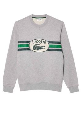 Sweat Lacoste Loose Fit Gris pour Homme