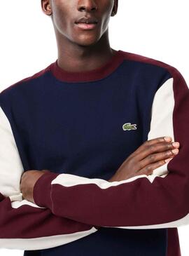 Sweat Lacoste Jogger Felpa Bleu Marine Homme