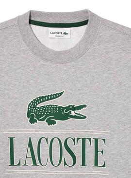 Sweat Insigne Lacoste Gris pour Homme