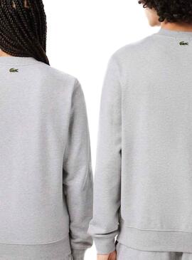 Sweat Insigne Lacoste Gris pour Homme