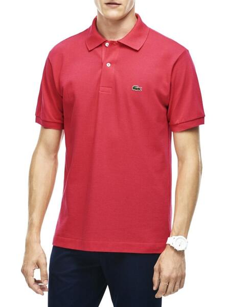 Caiman lacoste sales
