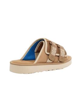 Sandales UGG Goldencoast Strap Slide Beige pour Homme